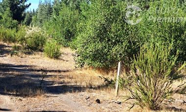 Parcela en Venta en Camino a Santa Clara. Los Ángeles. Bio-Bio.