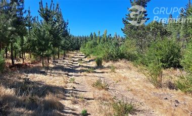 Parcela en Venta en Camino a Santa Clara. Los Ángeles. Bio-Bio.