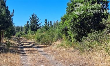 Parcela en Venta en Camino a Santa Clara. Los Ángeles. Bio-Bio.