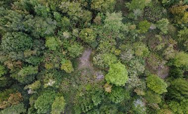 Parcela en Venta en A 15 Min de Pto Montt. Cerca de servicios básicos