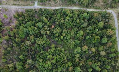 Parcela en Venta en A 15 Min de Pto Montt. Cerca de servicios básicos