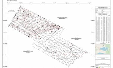 Parcela en Venta en LAGO PUYEHUE  SECTOR MALTIHUE