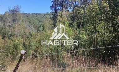 Agrícola en Venta en Las Cuyas