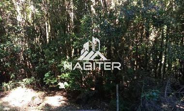 Agrícola en Venta en Las Cuyas