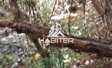 Agrícola en Venta en Las Cuyas