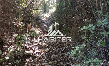 Agrícola en Venta en Las Cuyas