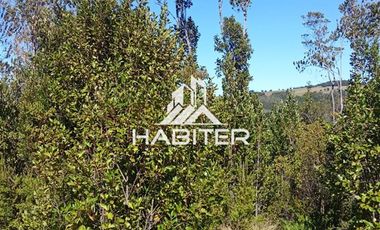 Agrícola en Venta en Las Cuyas