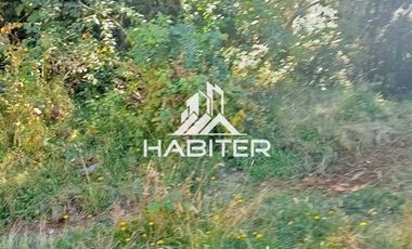 Agrícola en Venta en Las Cuyas