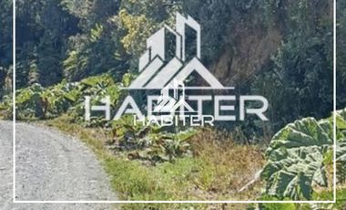 Agrícola en Venta en Las Cuyas