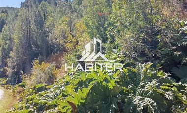 Agrícola en Venta en Las Cuyas