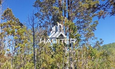 Agrícola en Venta en Las Cuyas