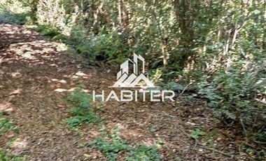 Agrícola en Venta en Las Cuyas