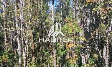 Agrícola en Venta en Las Cuyas