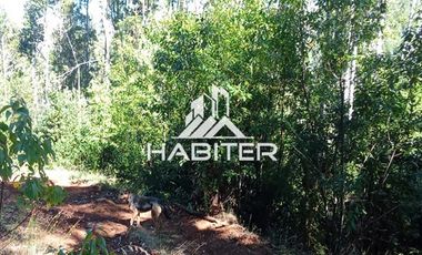 Agrícola en Venta en Las Cuyas