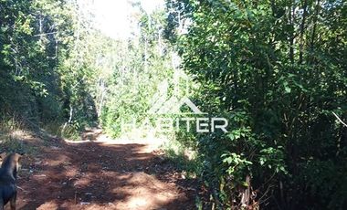 Agrícola en Venta en Las Cuyas