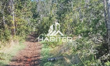 Agrícola en Venta en Las Cuyas