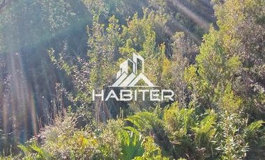 Agrícola en Venta en Las Cuyas