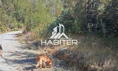 Agrícola en Venta en Las Cuyas