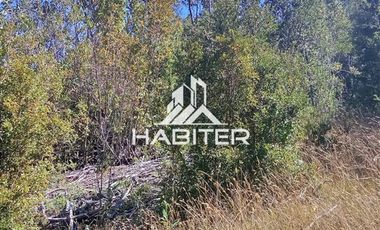 Agrícola en Venta en Las Cuyas