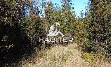 Agrícola en Venta en Las Cuyas