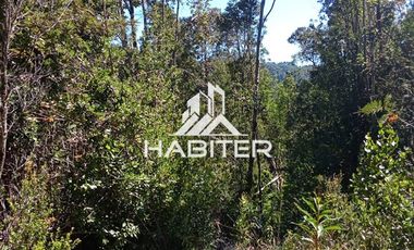 Agrícola en Venta en Las Cuyas