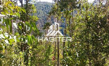 Agrícola en Venta en Las Cuyas