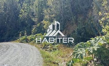 Agrícola en Venta en Las Cuyas