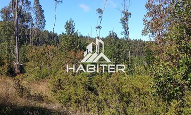 Agrícola en Venta en Las Cuyas