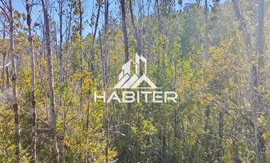 Agrícola en Venta en Las Cuyas