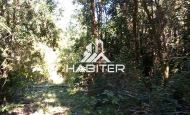 Agrícola en Venta en Las Cuyas