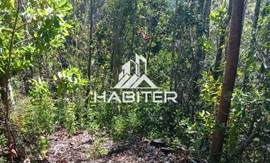 Agrícola en Venta en Las Cuyas