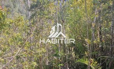 Agrícola en Venta en Las Cuyas