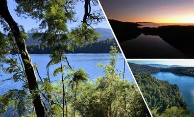 Sitio en Venta en Parque Nacional Puyehue