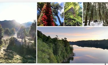 Sitio en Venta en Parque Nacional Puyehue