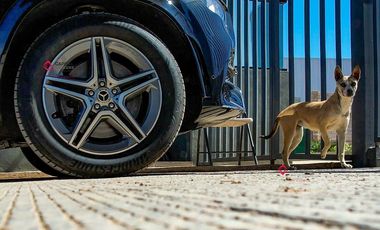 Terreno Industrial en venta Cerca carretera Zapotlanejo