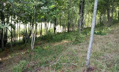 TERRENO EN VILLARRICA DE 1558 M2 EN ZONA URBANA