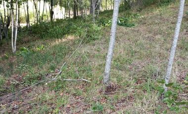 TERRENO EN VILLARRICA DE 1558 M2 EN ZONA URBANA