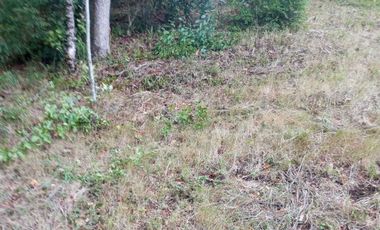 TERRENO EN VILLARRICA DE 1558 M2 EN ZONA URBANA