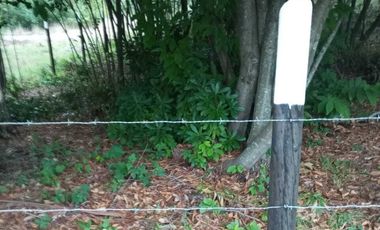 TERRENO EN VILLARRICA DE 1558 M2 EN ZONA URBANA