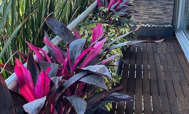 DEPARTAMENTO RENTA EN PARK PEDREGAL, JARDINES DEL PEDREGAL, SAN JERÓNIMO LIDICE