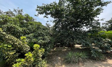 Terreno Rural Ideal para Proyecto Agrícola o Casa - Huerta