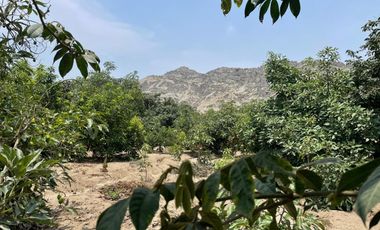 Terreno Rural Ideal para Proyecto Agrícola o Casa - Huerta