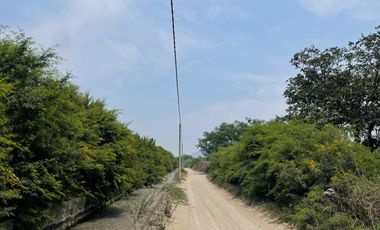 Terreno Rural Ideal para Proyecto Agrícola o Casa - Huerta