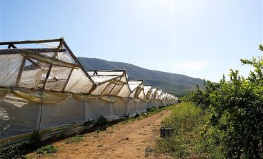Parcela en Venta en Camino a Embalse Lliu Lliu - LIMACHE