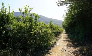 Parcela en Venta en Camino a Embalse Lliu Lliu - LIMACHE