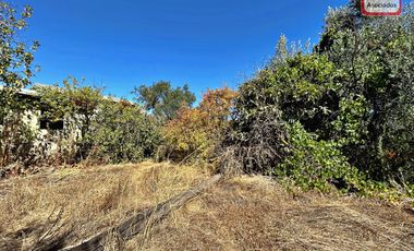 Espacioso terreno industrial, centro belloto.
