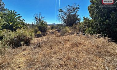 Espacioso terreno industrial, centro belloto.