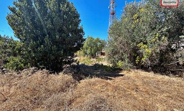 Espacioso terreno industrial, centro belloto.