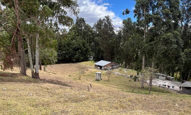 Terreno La Merced Cantón Quito 9.578,28 m2