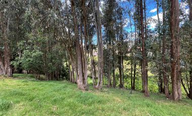 Terreno La Merced Cantón Quito 9.578,28 m2